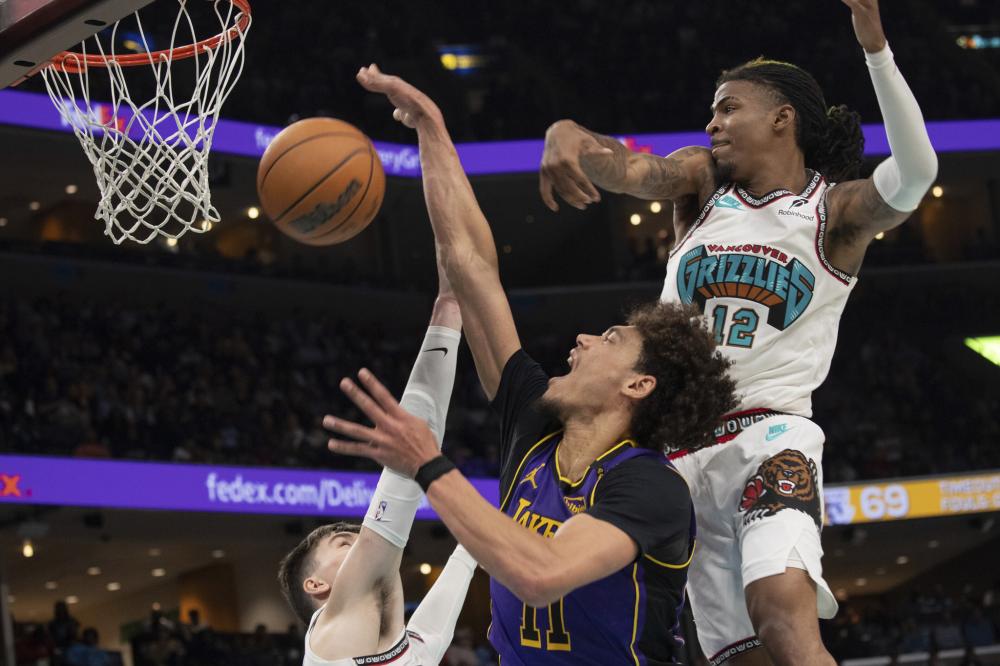 慧和适应能 慧和适应能