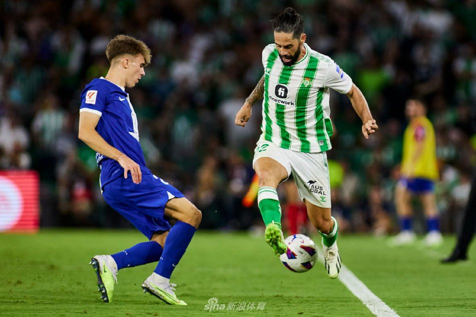 会费高达约 会费高达约